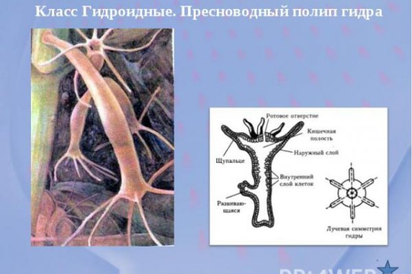 Восстановить аккаунт блэк спрут