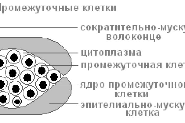 Почему не работает блэк спрут