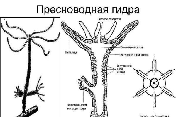 Не работает сайт blacksprut bs2web top