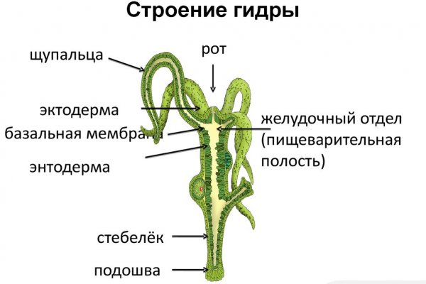 Тор браузер blacksprut blackprut com