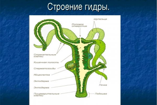 Сайт blacksprut на торе