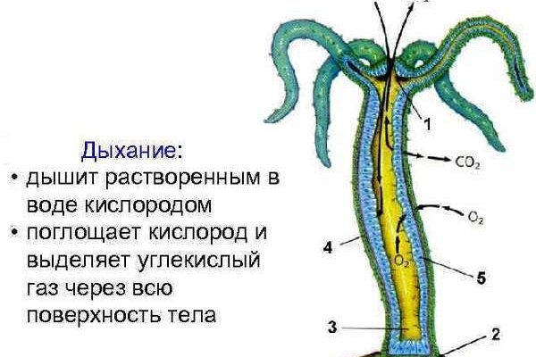 Блэкспрут площадка blacksprut2web in